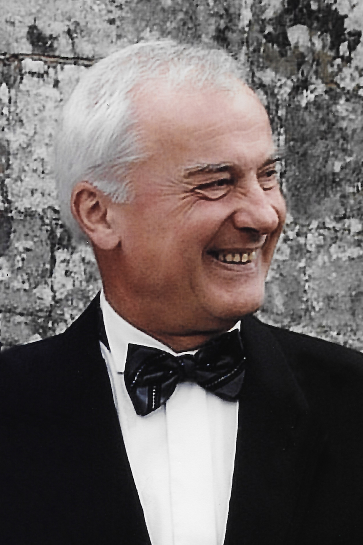 Zum Tod von PDG Alfons Zschockelt LC Waldbronn Distrikt 111 Süd